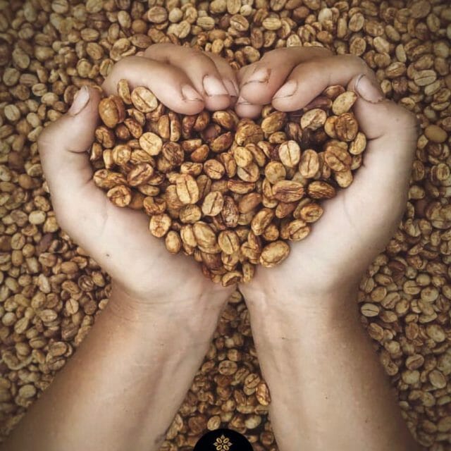 Coffee in heart hands